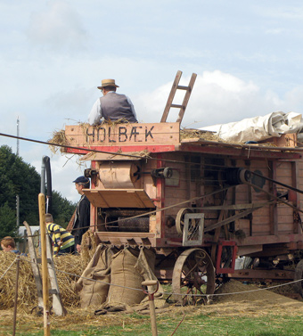 Det kan være svært at finde pæne campingpladser på Sjælland, men Tempelkrogens Familiecamping garanterer altid pæne forhold og gode faciliteter